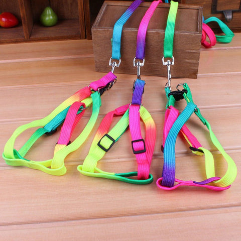 Adjustable Rainbow color Pet Dog Leash