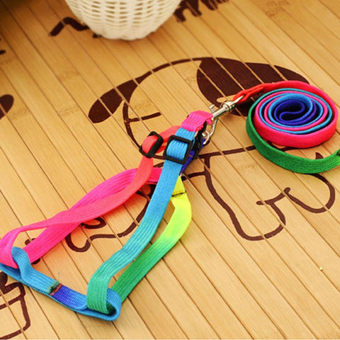 Adjustable Rainbow color Pet Dog Leash