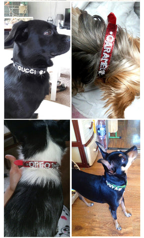 Bling Personalized Pet Dog Collar Rhinestone Customized Free Name Diamond Bucklet XS S M L