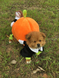 Funny Pumpkin Halloween Dog Costumes