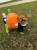 Funny Pumpkin Halloween Dog Costumes