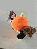 Funny Pumpkin Halloween Dog Costumes