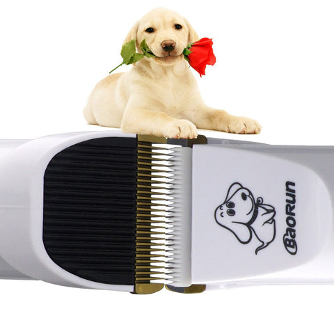 Rechargeable Low-noise Cat Dog Hair Trimmer