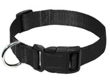 Nylon Webbing Dog Collar Heavy Duty Clip Buckle Pet Collar for Small Medium Large Dogs