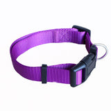 Nylon Webbing Dog Collar Heavy Duty Clip Buckle Pet Collar for Small Medium Large Dogs