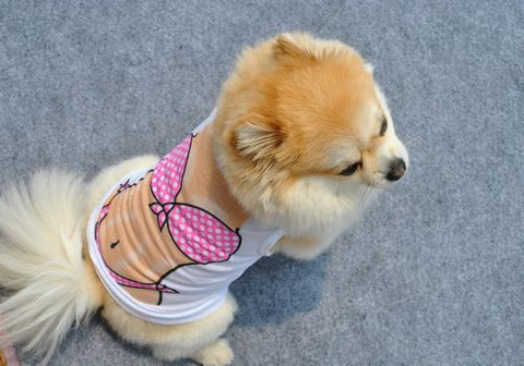 dog dress Bikini printed